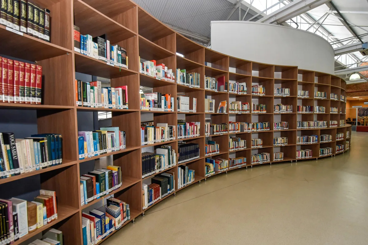 Estantes curvas de madeira repletas de livros em uma biblioteca